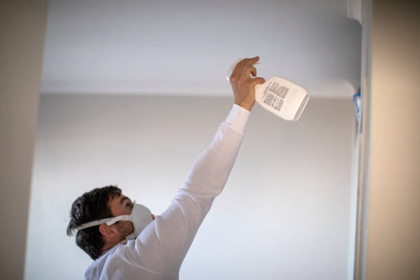 Mold Removal Process in Bonny Doon, CA