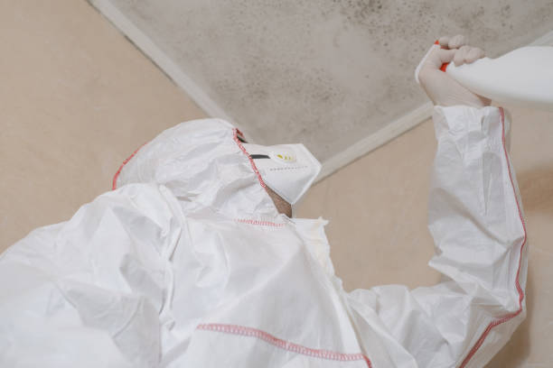 Best Affordable Mold Removal  in Bonny Doon, CA